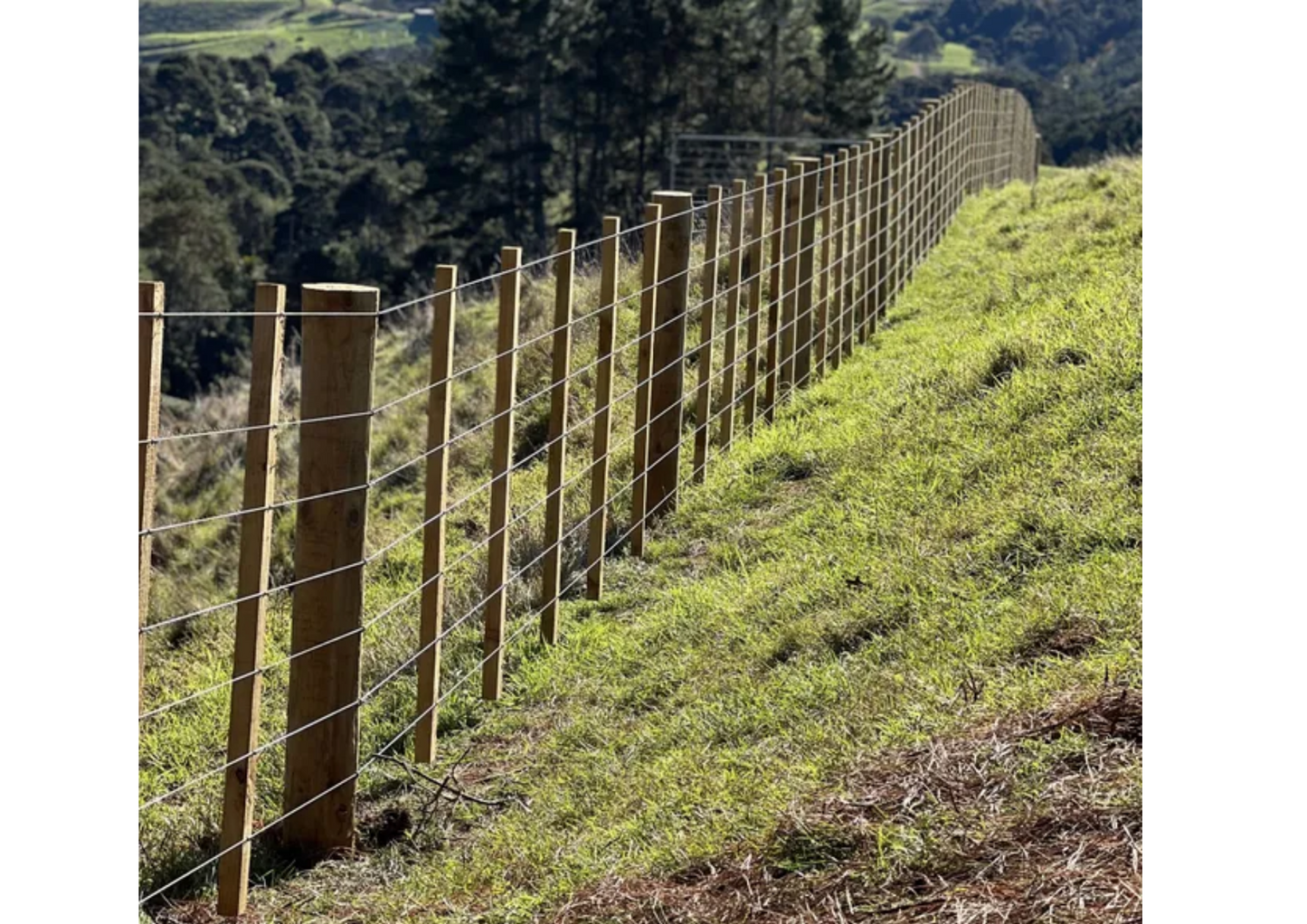 Sponsor 1 Metre of fencing